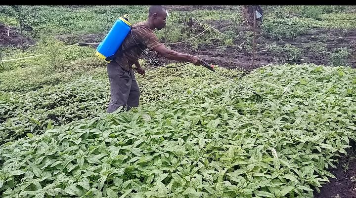 Formation agricole