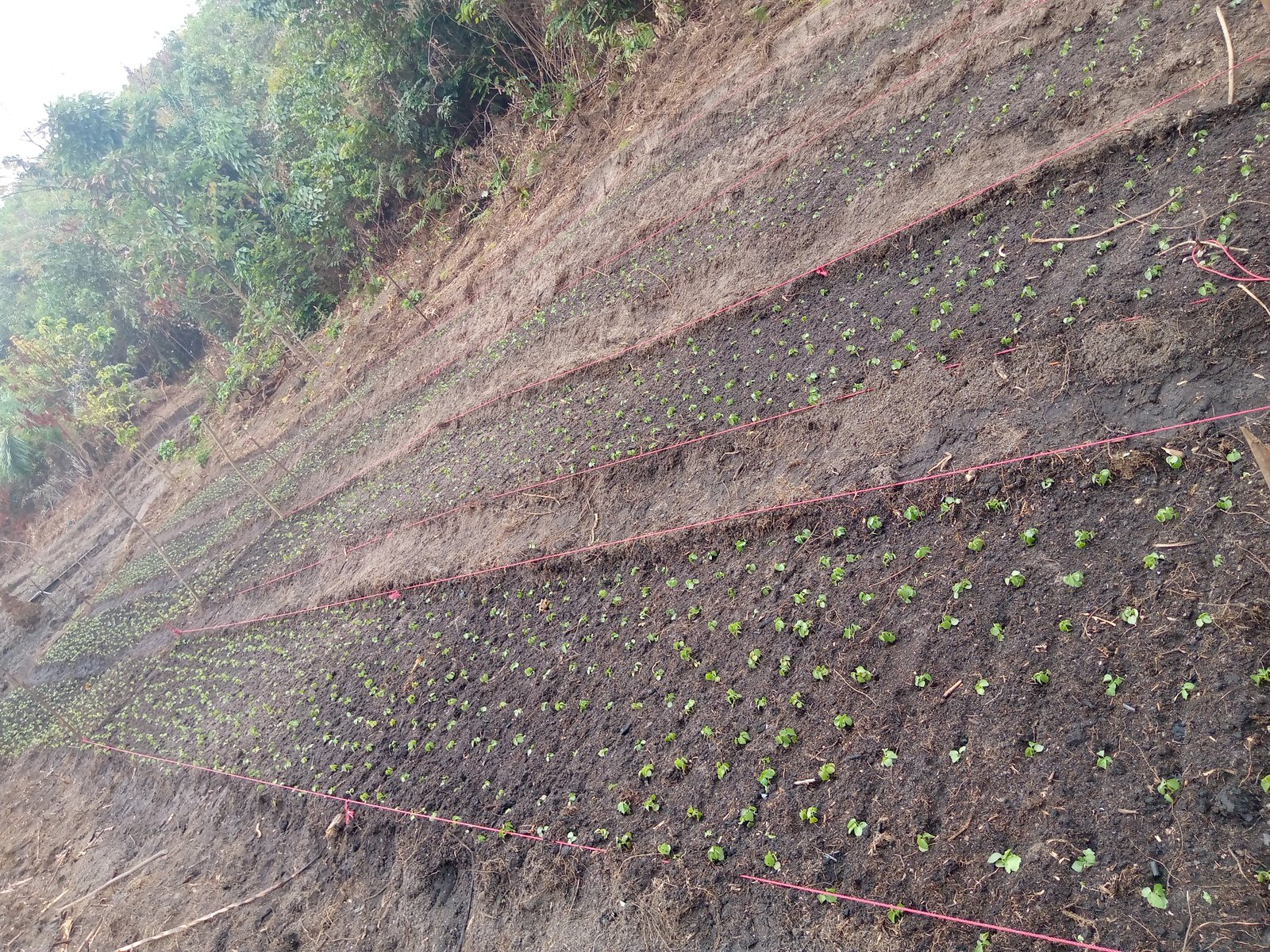 Formation agricole