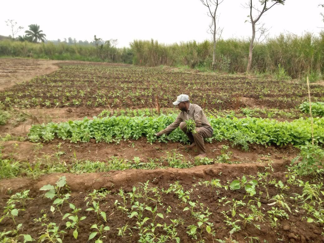 Formation agricole