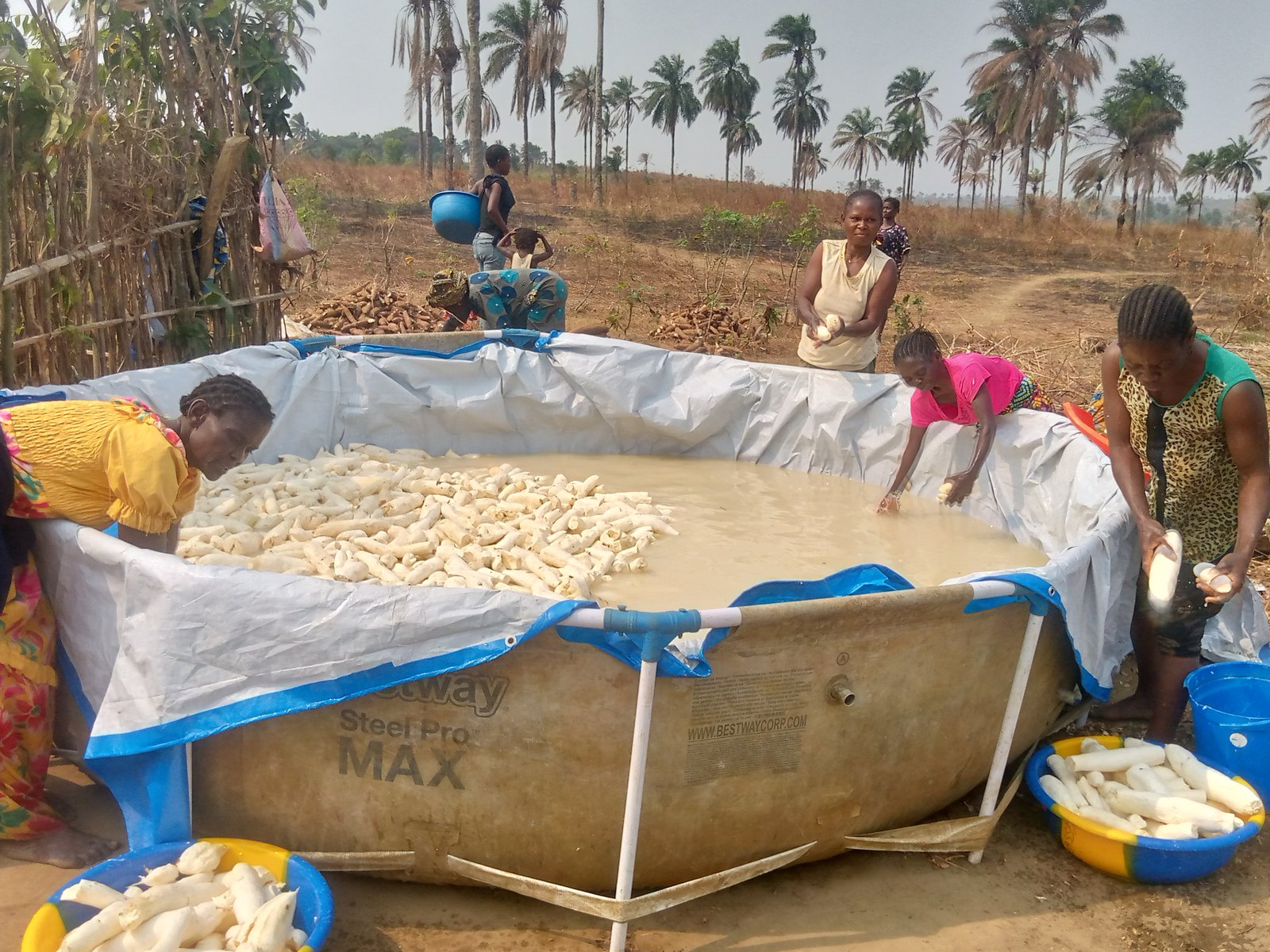 Travail sur le terrain